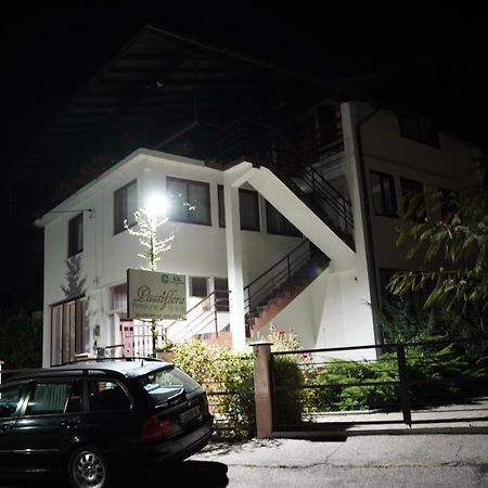 沃伊内亚萨 Passiflora酒店 外观 照片