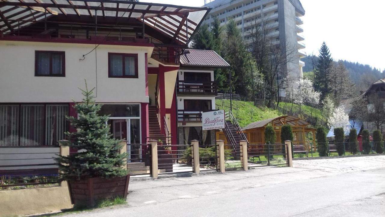沃伊内亚萨 Passiflora酒店 外观 照片