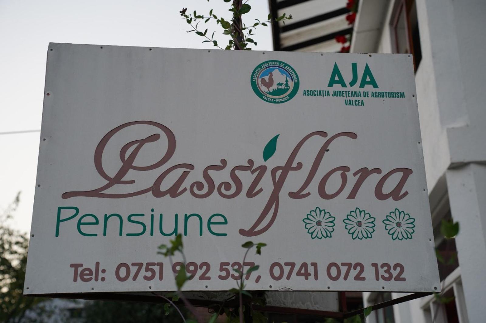 沃伊内亚萨 Passiflora酒店 外观 照片
